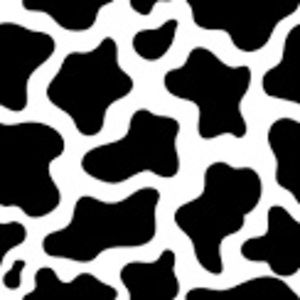 Meet your Posher, Cali